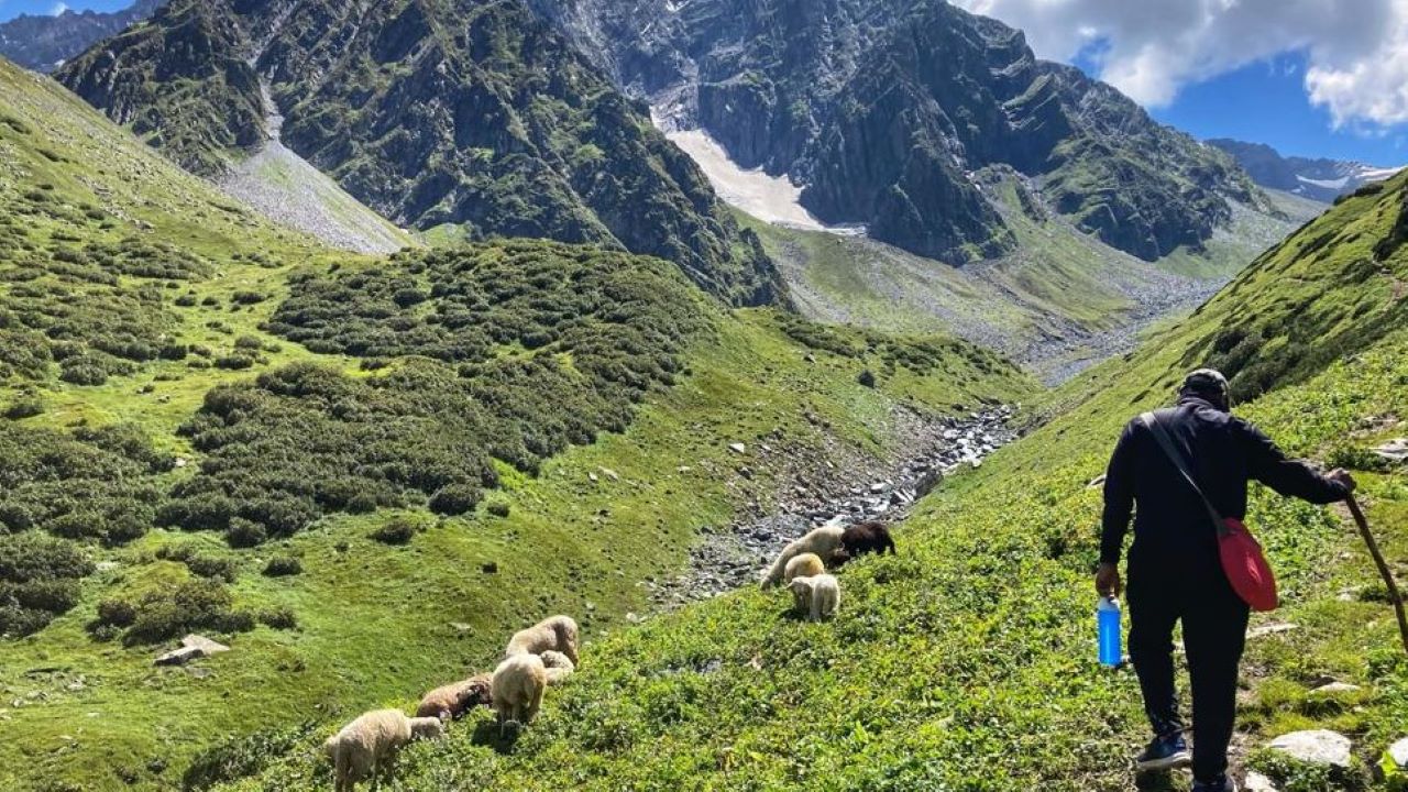 Trekking Adventures